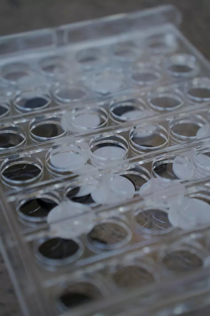 Black x White Acrylic Connect Four